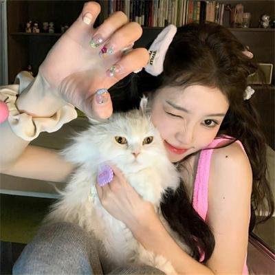 晚爱拾照终相逢